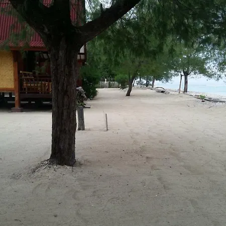 Yaya Bungalows Blue Coral